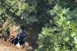 10 metreden düşen kadın, yardıma gelen polislerden kaçtı 