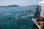 20. Uluslararası Meis - Kaş Yüzme Yarışı, tarihe kulaç attıracak 