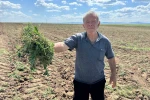 3 bin 500 dönümlük tarım arazisinin 2 ayrı kişiye kiralandığı iddiası 