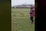 Aç kalan tilkiyi elleriyle besledi 