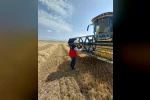 Afyonkarahisar’da hububat hasadı sürüyor