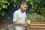 Ailecek enginar soyucular: Soyması 10 saniye sürüyor 
