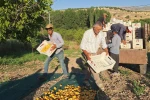 Akçadağ Ziraat Odası Başkanı İnal’dan kayısı fiyatları için TMO çağrısı