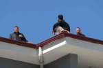 Alacağını alamadı çatıya çıktı, polis yiyecek verip indirdi 