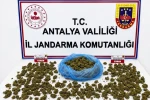 Alanya’da uyuşturucu operasyonunda 745 gram esrar ele geçirildi 