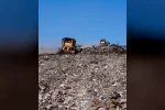 Aliağa ve Foça’daki yanan orman alanlarında ağaçlandırma çalışmaları sürüyor