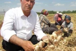 Altun’dan tarım mesajı