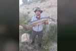 Amatör balıkçıdan 112 santimetrelik av 