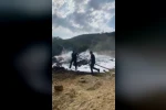 Anız yangınında 3 dönüm alan ile traktör ve patoz makinesi zarar gördü