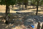 Ankara’daki kadın cinayetinin alacak-verecek meselesi nedeniyle işlendiği iddiası