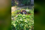 Antakya’da dereye uçan motosikletin sürücüsü yaralandı