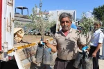Antalya Büyükşehir Belediyesi’nden fidan desteği
