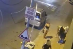 Antalya’da fuhuş operasyonu: 5 kişi yakalandı, 14 kadın kurtarıldı 