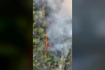 Antalya’da orman yangını 
