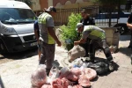 Antalya’da son kullanma tarihi bulunmayan ve süresi geçmiş 152 kilo et ile 20 bidon turşuya el konuldu