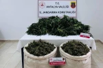 Antalya’da uyuşturucu operasyonunda 11 kilo 100 gram kubar esrar ele geçirildi 