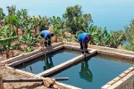 Antalya’da vektörel mücadele kültürel, fiziksel, biyolojik ve kimyasal olarak gerçekleştiriliyor 