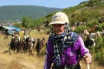 Antalya’nın süper çobanı Emine Nine: 94 yaşında, 90 yıldır keçileriyle dağlarda 