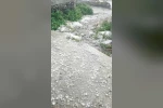 Ardahan’da dolu yağışı etkili oldu