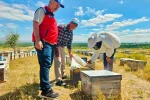 Arılı kovan tespit ve güncelleme çalışmaları devam ediyor