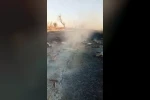 Arılıkta çıkan yangında çok sayıda arı telef oldu