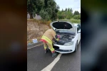Arsuz’da otomobilin motoruna giren kediler kurtarıldı 