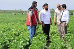 Arsuz’da soya ekimi yapıldı 