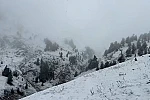 Artvin’de yaylalar kar altında