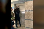 Asansör boşluğuna düşen yavru kediyi itfaiye kurtardı 