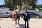 Atla gelin almaya giden damadın planını trafik bozdu