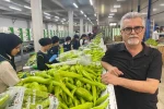 Avrupa sofralarının tercihi Bursa ürünleri