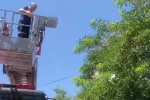 Ayağına dolanan ip kargayı mahsur bıraktı, itfaiye kurtardı