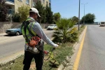Aydın Büyükşehir’den Çeştepe’de park ve yeşil alanlara bakım 