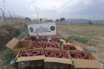 Aydın’da tağşiş ve etiketsiz gıdaya geçit yok 