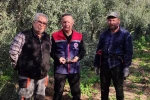 Aydın’da zeytin bahçeleri kontrol edildi 
