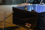 Aydın’daki ’kanlı’ kavganın şüphelileri polise teslim oldu 
