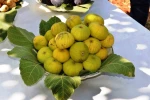 Aydın’ın taze inciri dünya pazarlarına uğurlandı