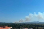 Ayvacık’ta otluk alanda yangın çıktı