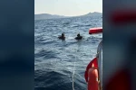 Ayvalık’ta tekne turunda kaybolan gencin cansız bedenine ulaşıldı 