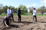 Bahçe Kültürleri Araştırma Enstitüsünden aronya çalışması 