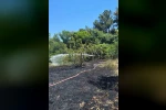 Bahçede çöp yaktı, 4 dönümlük alanı küle çevirdi 