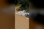 Balık tutmak için gittiği gölde çöp yığınıyla karşılaştı: Poşet poşet topladı 