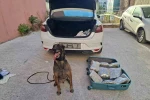 Balıkesir polisinden ’Narkorekor’ 