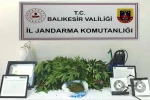 Balıkesir’de 9 ilçede zehir tacirlerine darbe: 31 şüpheliye işlem