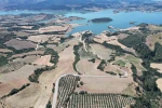 Baraj çevresi bal ormanına dönüşüyor 