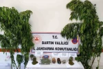 Bartın’da uyuşturucu operasyonu: 1 gözaltı