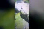 Başına poşet geçirip bisiklet çaldı