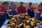 Bayburt’ta patates hasadına başlandı 
