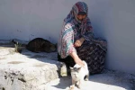 Bayburt’ta senelerdir sahipsiz hayvanları besleyen kadın, 10 yıldır baktığı sokak kedisini kaybetti: "İki gün ağladım"