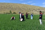 Bayburt’ta üretim planlaması kontrollerinde sona yaklaşıldı